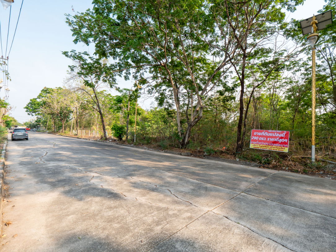 รูป #ขายที่ดิน #แปลงสวยทำเลดี #ราคาดีสุดๆ #ขายต่ำกว่าประเมินเยอะมาก #หมู่บ้านกรีนเลค บางนา-ตราด ขนาดที่ดิน 290 ตรว. - รูปที่ 13/36