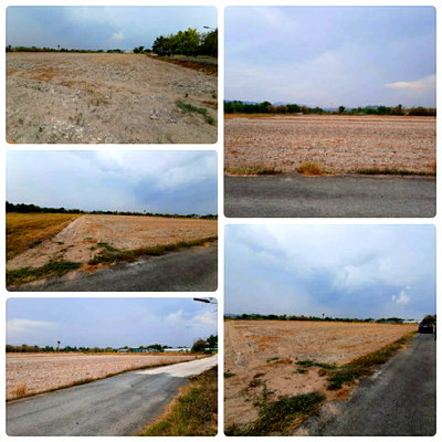 ที่ดิน เมืองนครนายก นครนายก : ขายที่ดินสวย ราคาถูก อ.เมืองนครนายก ถนนเข้าถึง เจ้าของขายเอง ราคาต่อรองได้