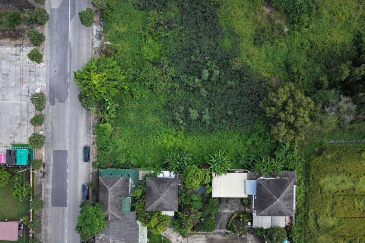 รูป โคตรคุ้ม หาไม่ได้อีกแล้ว ใกล้สนามกอล์ฟธัญญะ ขายที่ดินลำลูกกาซอย 71 เพียง 27,000 / ตร.วา - รูปที่ 4/10