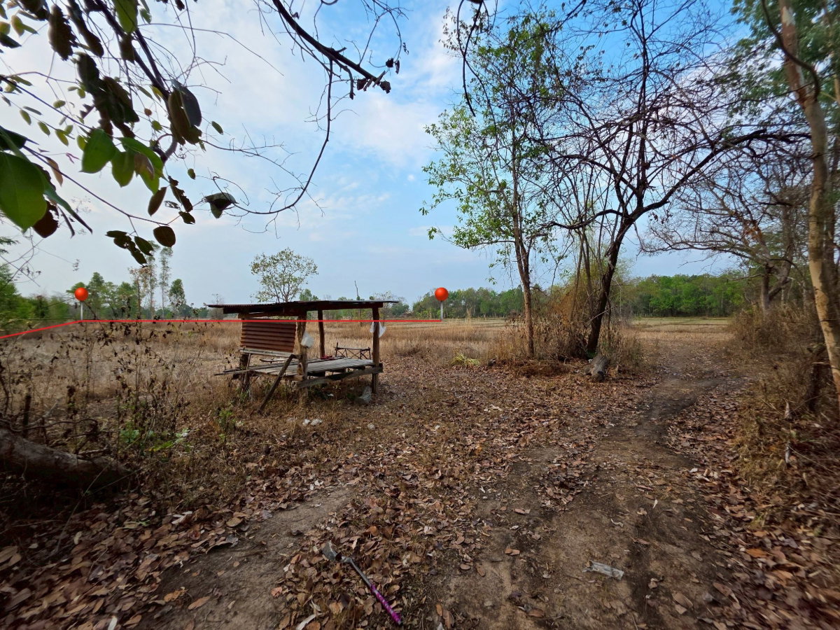 รูป ขายด่วน ที่ดิน ติดรั้วหลัง ม.เกษตรศาสตร์ จังหวัดสกลนคร - รูปที่ 6/12