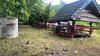 listing thumbnail image 15