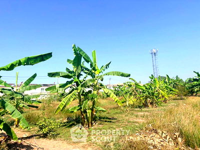 ที่ดิน วิทยาลัยเทคนิคดอนเมือง : ที่ดินสำหรับปล่อยขาย 754 ตารางเมตร แถว ใน สีกัน (ID 2690843)