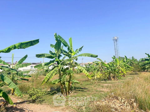 ที่ดินสำหรับปล่อยขาย 754 ตารางเมตร แถว ใน สีกัน (ID 2690843)