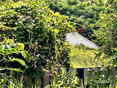 บ้านเดี่ยว 775.9 ตร.วา ดอยสะเก็ด เชียงใหม่ 5.6M