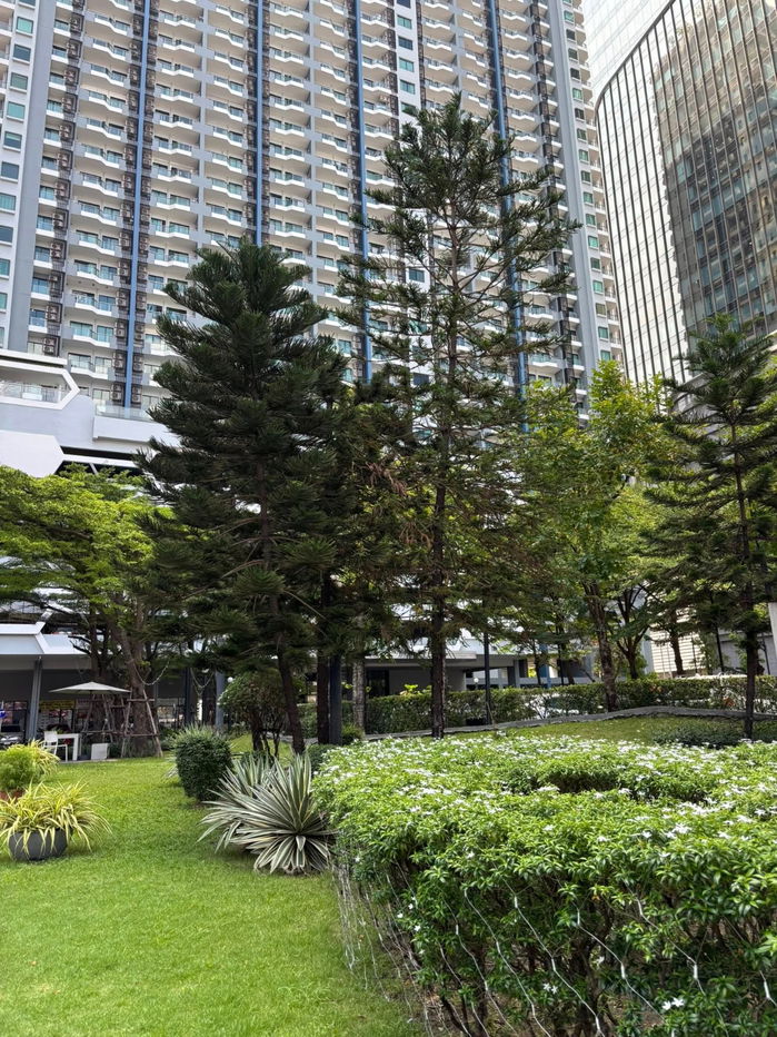 รูป 🏢 ให้เช่าคอนโด : Supalai Premier @ Asoke (ศุภาลัย พรีเมียร์ แอท อโศก) รหัสทรัพย์ | 📌LNP-C12250 - รูปที่ 7/19