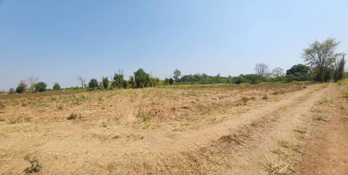 รูป ตัดใจขาย#ขายที่ดินเมืองโคราช | ( 1-3-50 ไร่.) | ( วาล่ะ 3,000 บ.) ( 2.25 ลบ. ) เหมาะสร้างบ้านสวน ,ฟาร์มฯ - รูปที่ 18/25