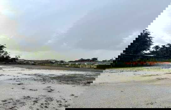 รูป ขาย โรงงาน EEC สีเหลือง FA073 มีใบ รง4. Overhead crane ห้วยโป่ง ระยอง . 2000 ตรม 8 ไร่ 1 งาน 35.5 ตรว ใกล้ท่าเรือมาบตาพุด เพียง 12 Km. - รูปที่ 8/12