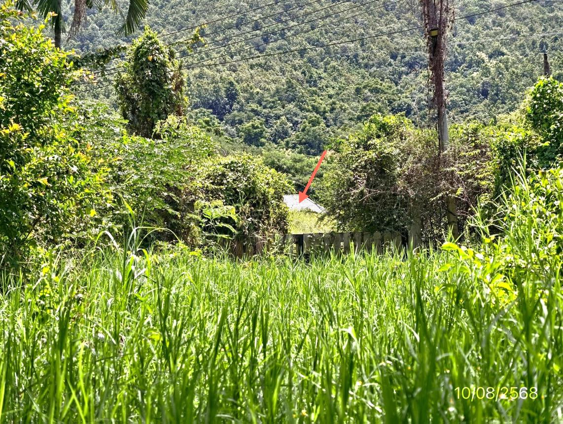 รูป บ้านเดี่ยว สำหรับขาย - ลวงเหนือ ดอยสะเก็ด เชียงใหม่ - รูปที่ 6/12