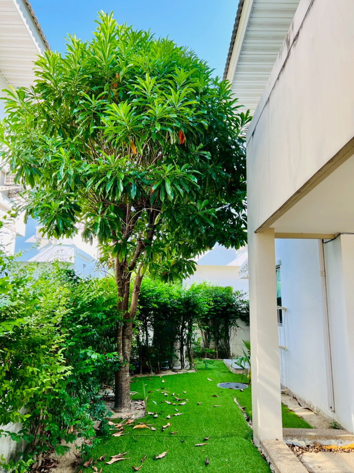 รูป ขายด่วน! บ้านเดี่ยว 4-ห้องนอน 3-ห้องน้ำ แปลงมุม พร้อมเฟอร์นิเจอร์ Built-in สวยจบครบทั้งหลัง - รูปที่ 8/57