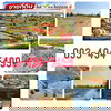 listing thumbnail image 23