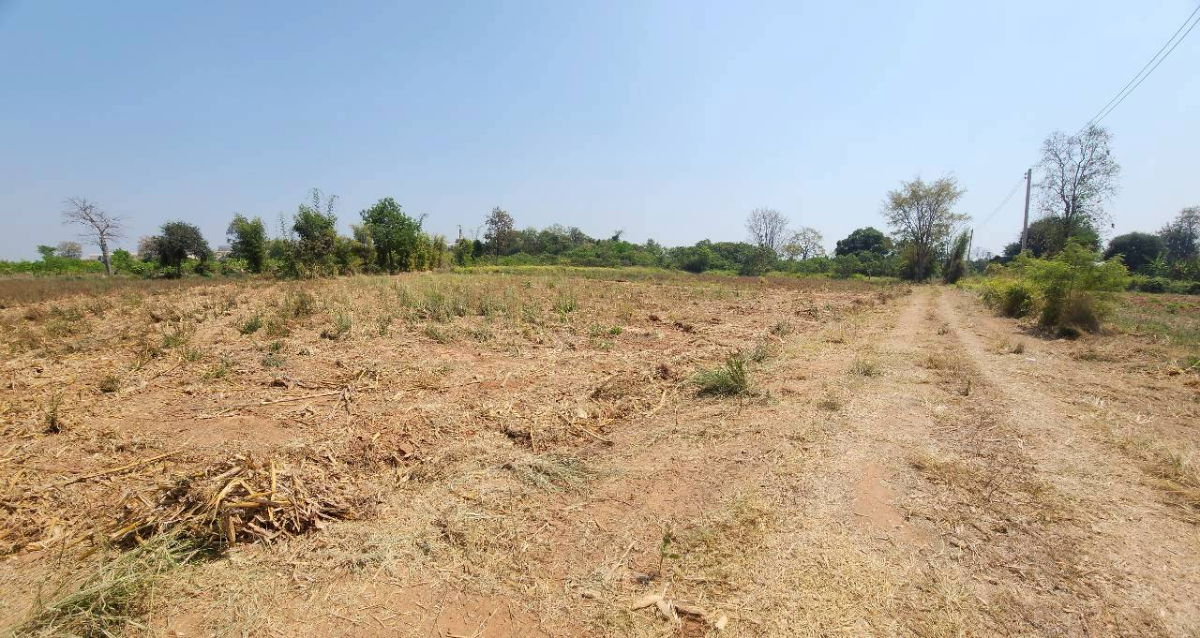 รูป ตัดใจขาย#ขายที่ดินเมืองโคราช | ( 1-3-50 ไร่.) | ( วาล่ะ 3,000 บ.) ( 2.25 ลบ. ) เหมาะสร้างบ้านสวน ,ฟาร์มฯ - รูปที่ 16/25