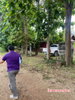 listing thumbnail image 7