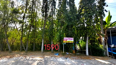 ที่ดิน วิทยาลัยเทคนิคกาญจนาภิเษกมหานคร : ขาย ที่ดิน บึงมะขามเทศ ซ.ประชาร่วมใจ 45 มบ.อิมเพลสโฮม