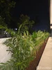 listing thumbnail image 38
