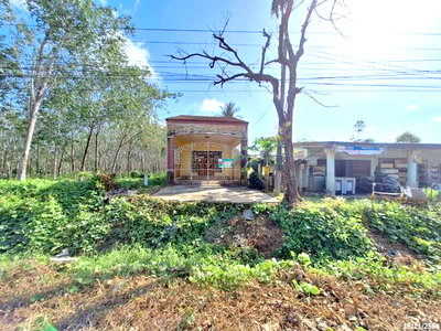 บ้านเดี่ยว 37.3 ตร.วา ปะเหลียน ตรัง 1.5M