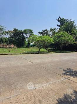 รูป ที่ดินสำหรับปล่อยขาย 1,412 ตารางเมตร แถว ใน บ้านแหวน (ID 1974231) - รูปที่ 2/5