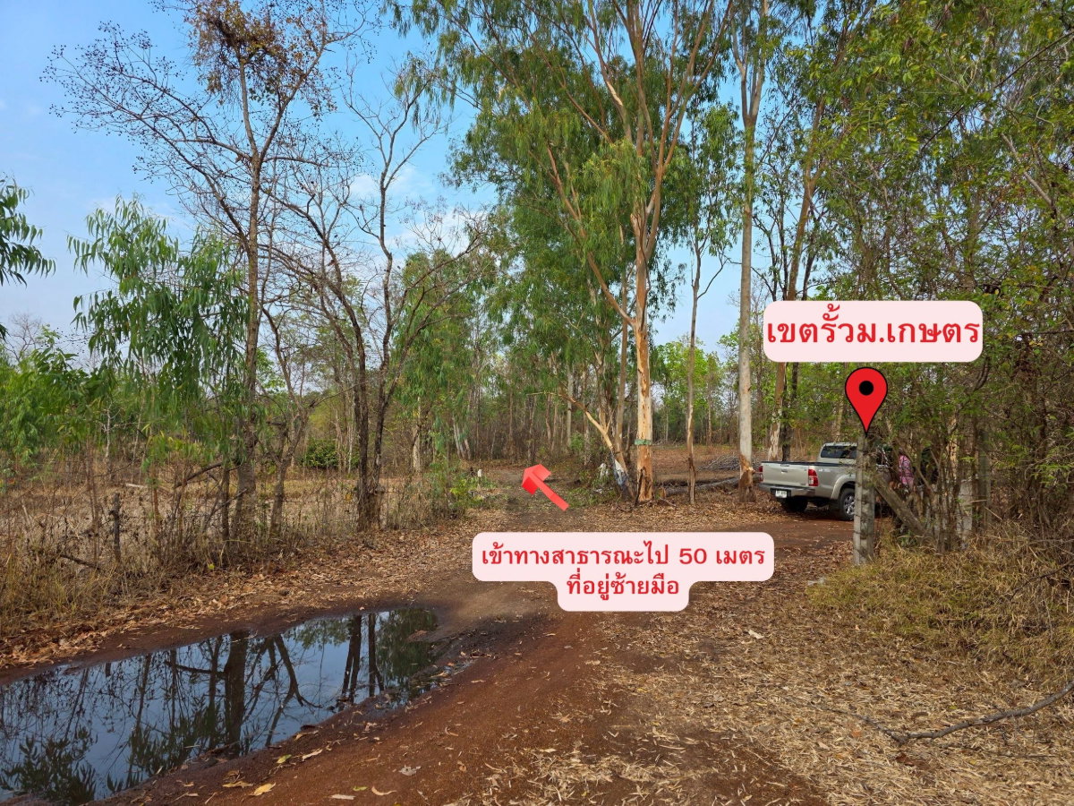 รูป ขายด่วน ที่ดิน ติดรั้วหลัง ม.เกษตรศาสตร์ จังหวัดสกลนคร - รูปที่ 12/12