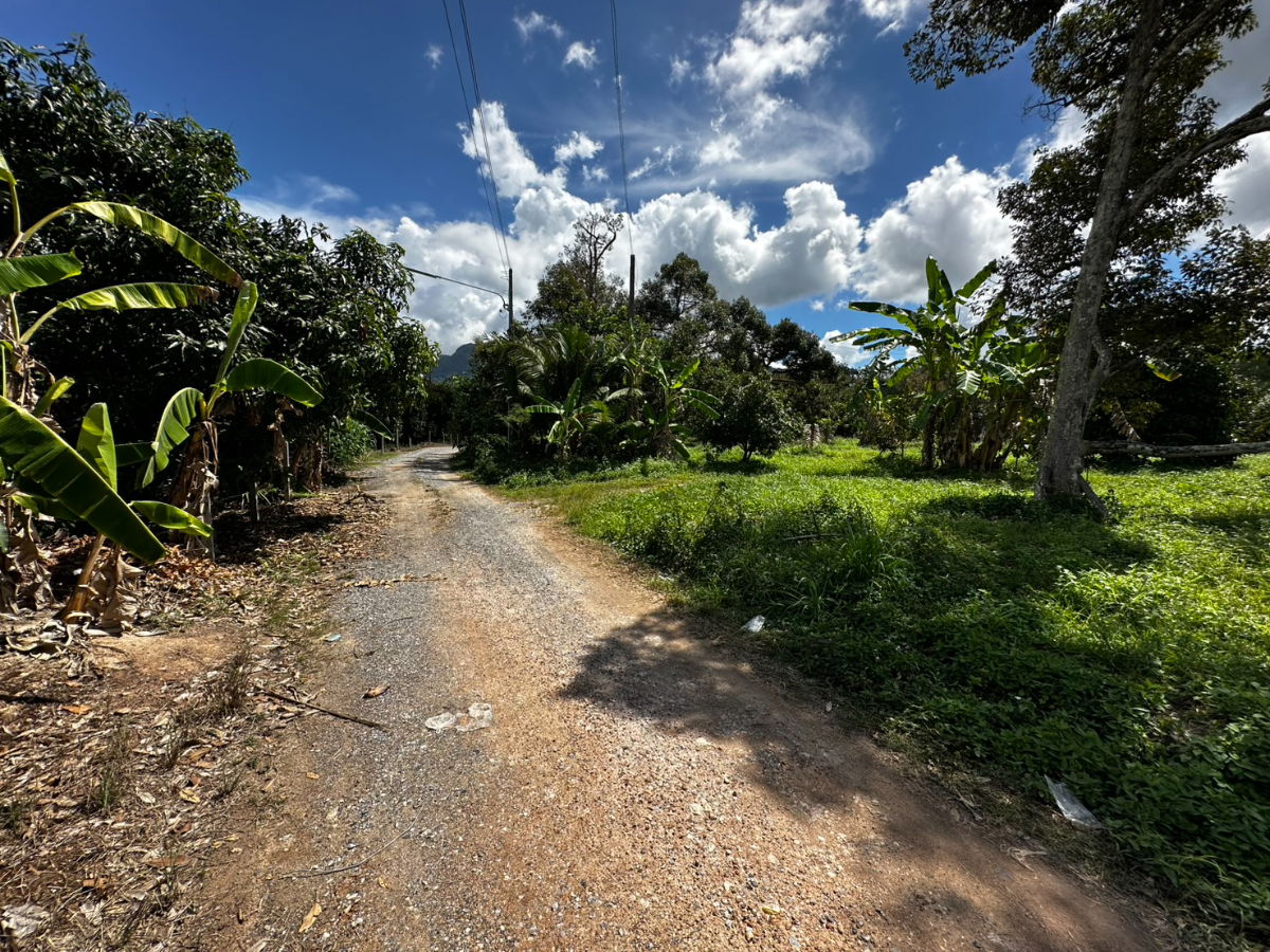 รูป ขายที่ดินสูงกว่าถนนไม่ต้องถม 1-0-67 ไร่ บ้านแลง ระยอง ติดสถานปฏิบัติธรรมหลวงปู่ขี้เถ้า - รูปที่ 6/9