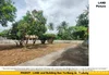 listing thumbnail image 42