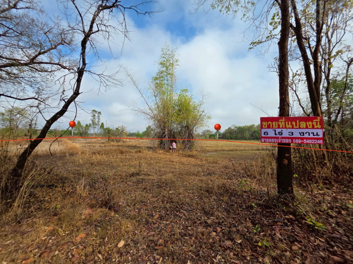 รูป ขายด่วน ที่ดิน ติดรั้วหลัง ม.เกษตรศาสตร์ จังหวัดสกลนคร - รูปที่ 2/12