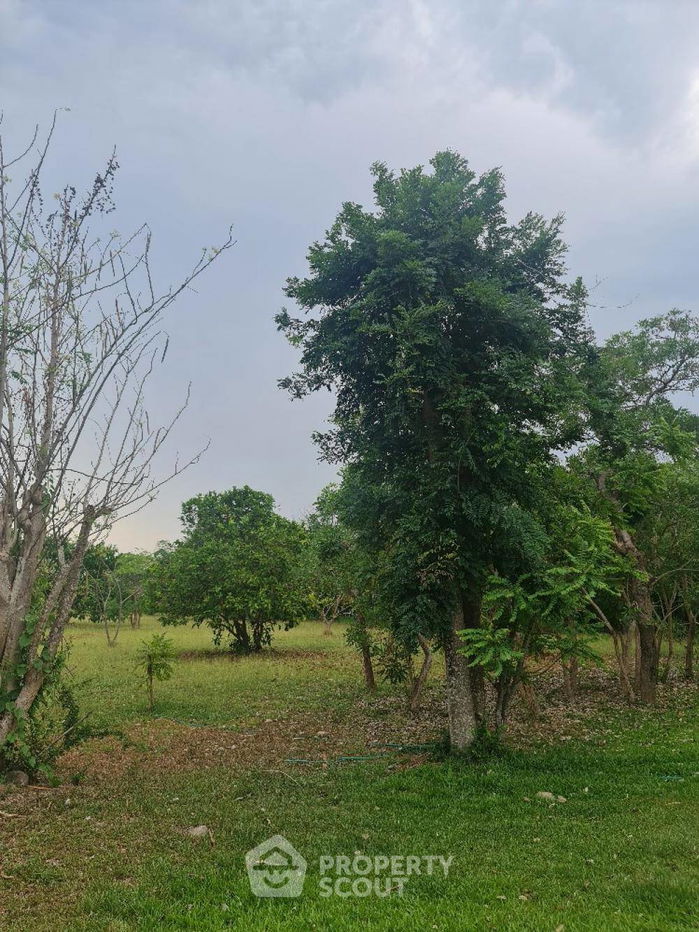 picture 8,000 m² Land for Sale in Yu Wa (ID 1437405) - 3/6