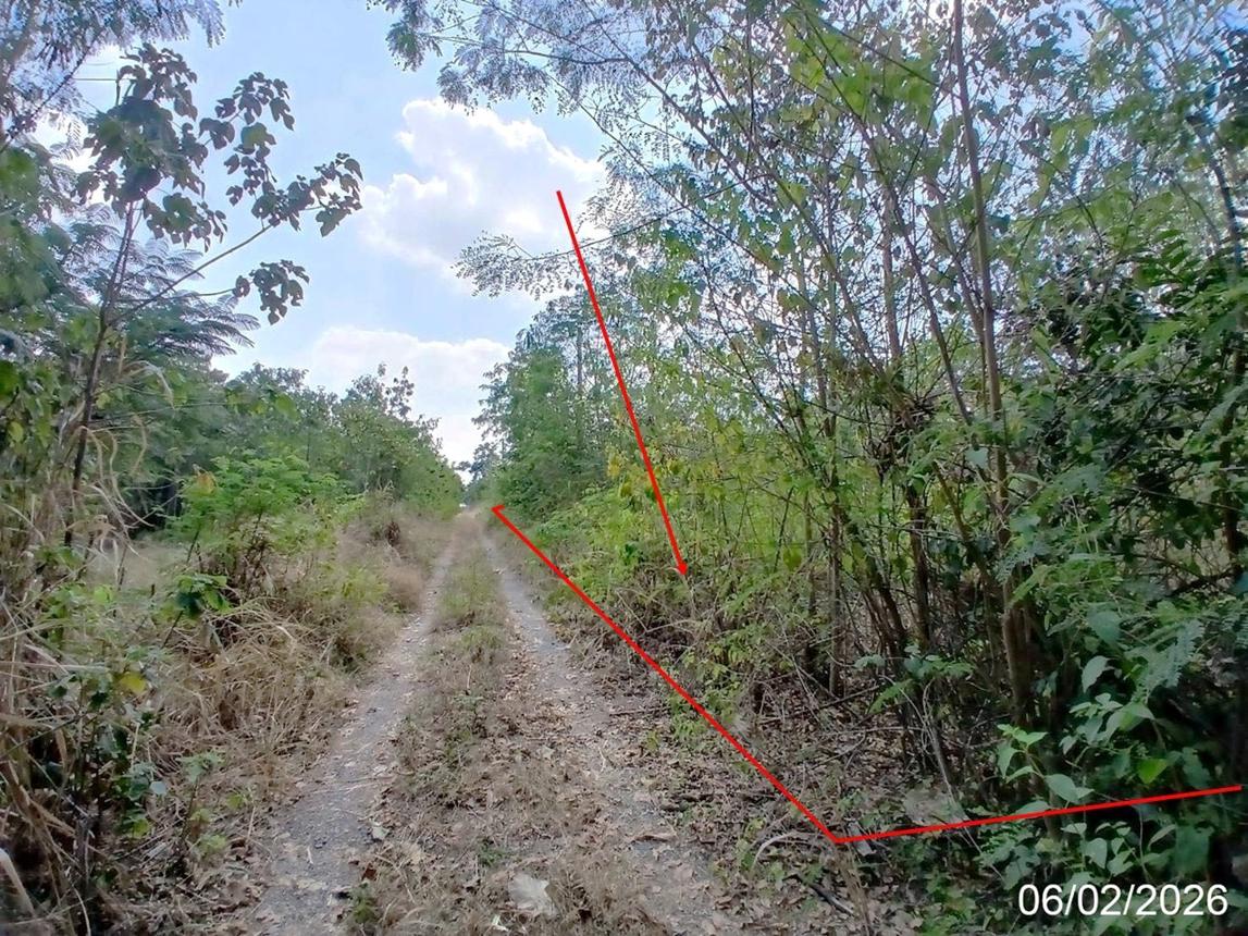 รูป ที่ดินว่างเปล่า สำหรับขาย วังแก้ว ปาร์คฮิลล์ รีสอร์ท วังม่วง วังม่วง สระบุรี - รูปที่ 8/12