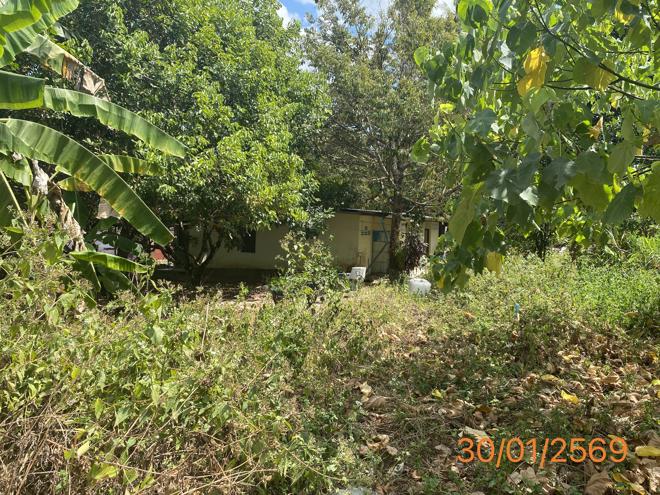 รูป ที่ดินว่างเปล่า สำหรับขาย - บางนายสี ตะกั่วป่า พังงา - รูปที่ 3/16