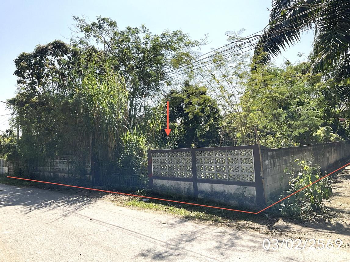 picture HOME 202.7 Sq.w. Muang Phayao Phayao for 1.5M - 40/44
