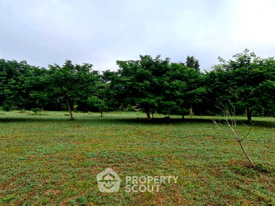 ที่ดิน ม.นอร์ท-เชียงใหม่ : ที่ดินสำหรับปล่อยขาย 8,000 ตารางเมตร แถว ใน ยุหว่า (ID 1437405)