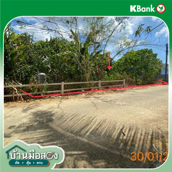 รูป ที่ดินว่างเปล่า สำหรับขาย - บางนายสี ตะกั่วป่า พังงา - รูปที่ 14/16