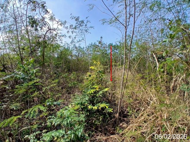 รูป ที่ดินว่างเปล่า สำหรับขาย วังแก้ว ปาร์คฮิลล์ รีสอร์ท วังม่วง วังม่วง สระบุรี - รูปที่ 2/12