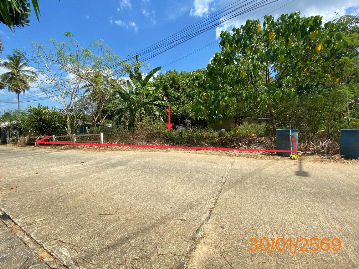 รูป ที่ดินว่างเปล่า สำหรับขาย - บางนายสี ตะกั่วป่า พังงา - รูปที่ 8/16