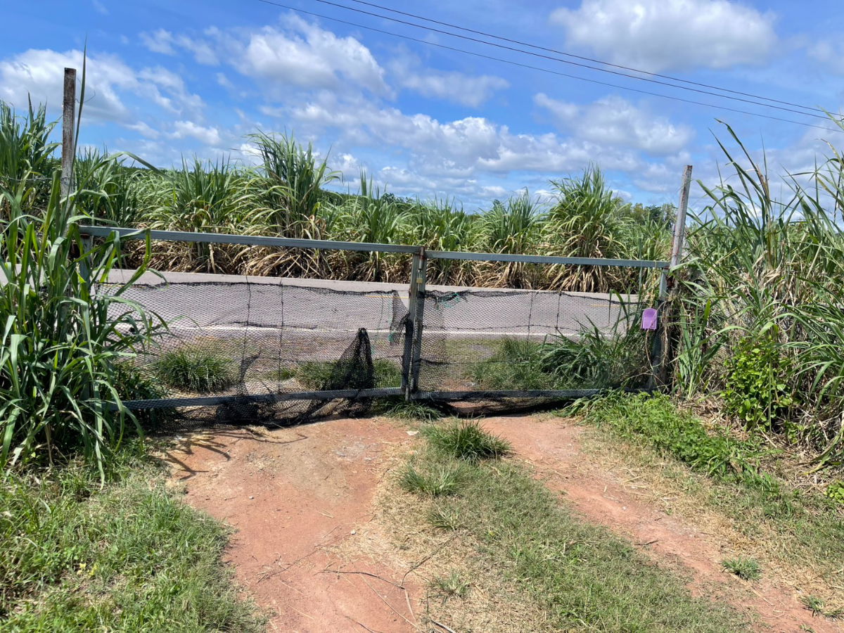 picture Premium Land for Sale – 13+ Rai in Hin Kong, Mueang Ratchaburi - 16/16