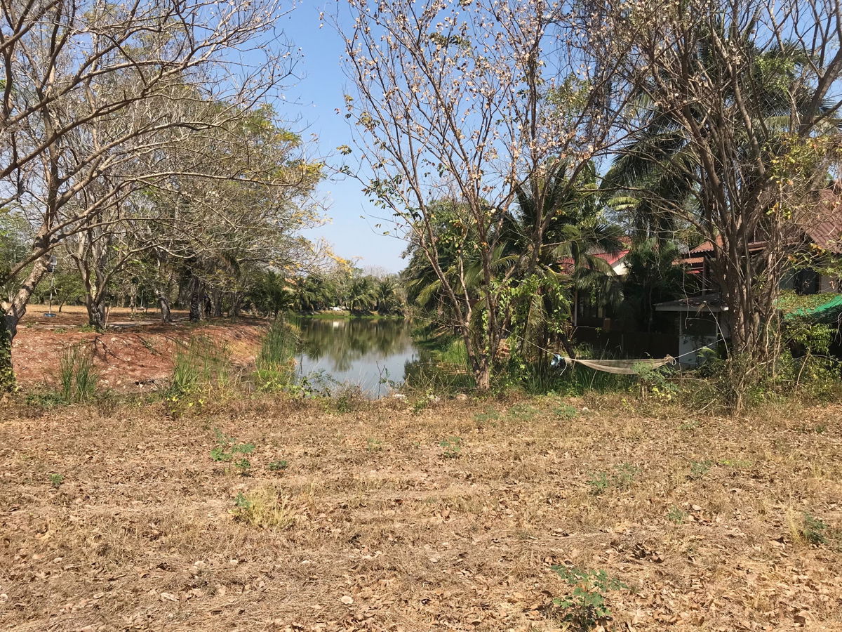 รูป ที่ดินโครงการเจ้าสำราญเลค & ฮิลล์เมืองเพชรบุรี พื้นที่125ตารางวา แปลงสวยด้านหลังติดLake อยู่ต้นโครงการออกถนนใหญ่เพียง1กม.ใกล้หาดเจ้าสำราญ,ห้างโรบินสัน - รูปที่ 1/5