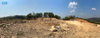 listing thumbnail image 14