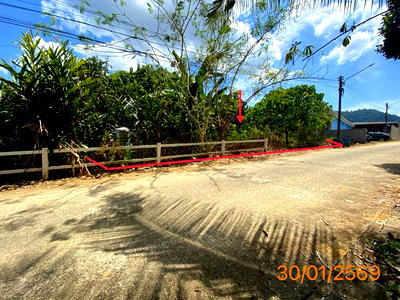 ที่ดินว่างเปล่า 81.6 ตร.วา ตะกั่วป่า พังงา 1M