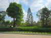 listing thumbnail image 51