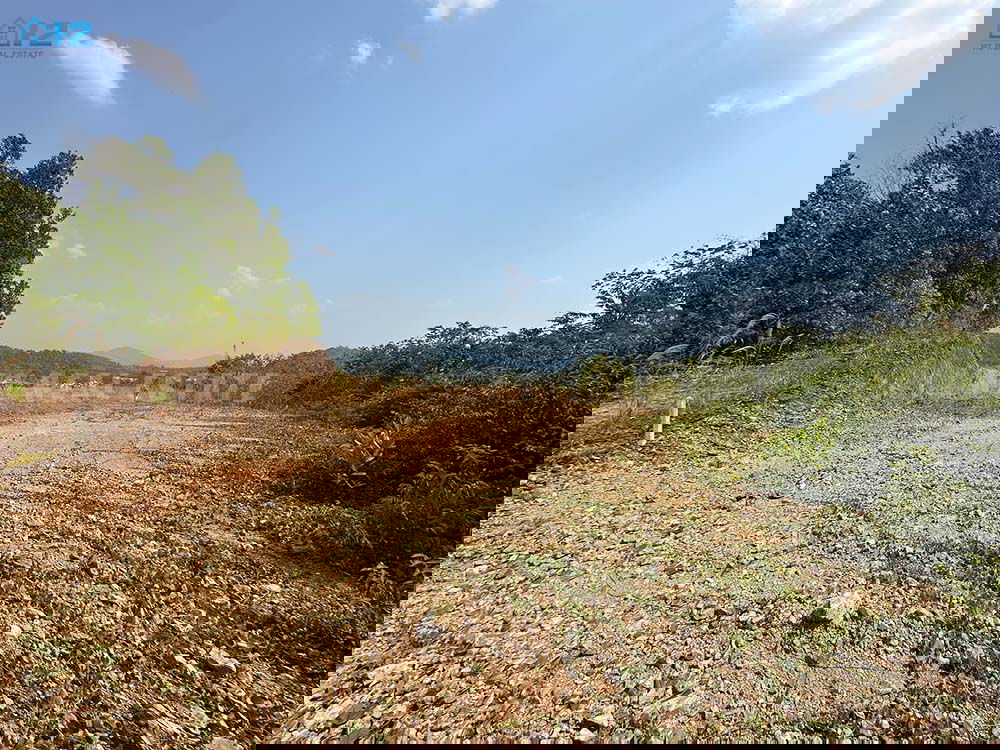 รูป ขายที่ดินจันทบุรีสวยมากๆ ที่ดินขนาด 70 ไร่ ติดถนนใหญ่ - รูปที่ 17/23