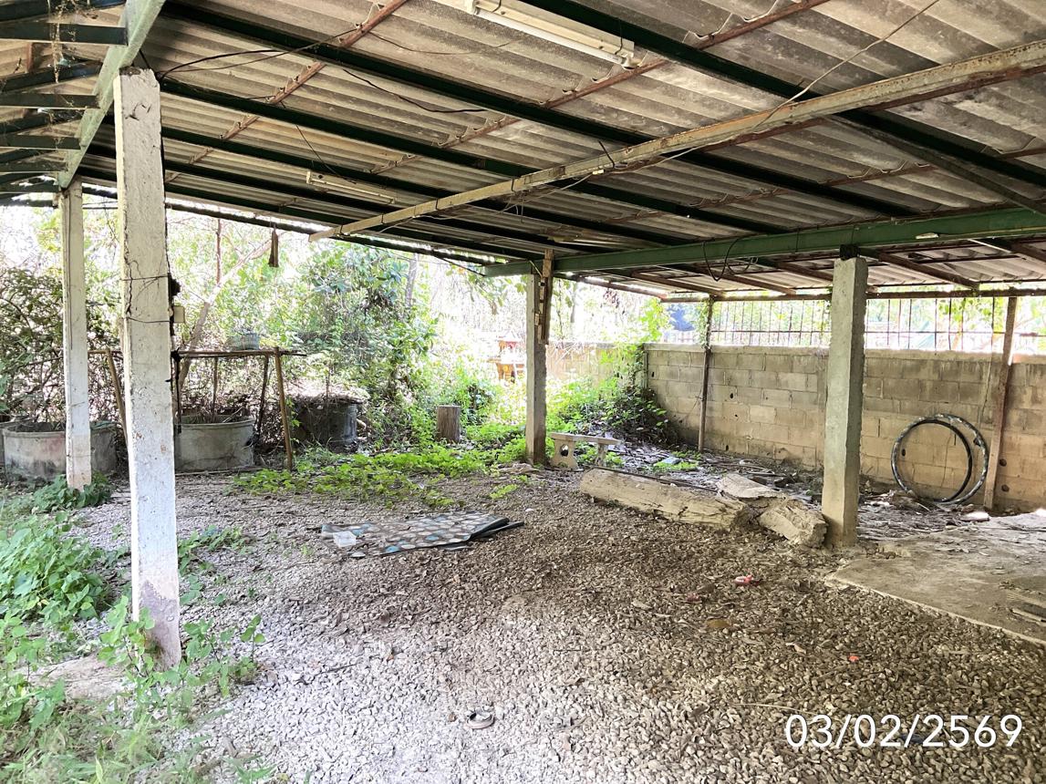 picture HOME 202.7 Sq.w. Muang Phayao Phayao for 1.5M - 39/44