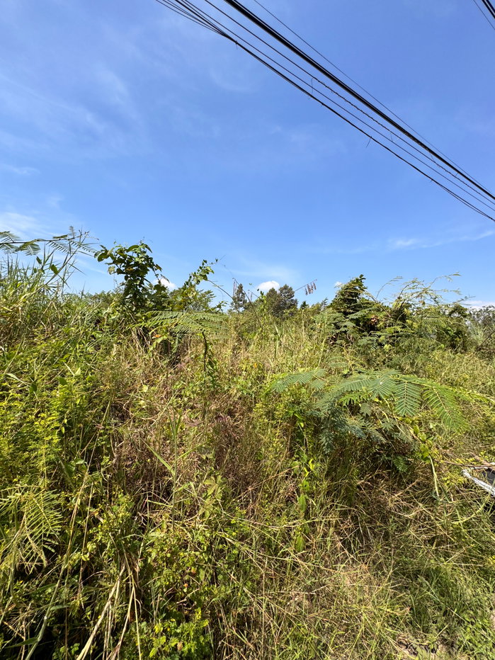 รูป 🔥 ขายที่ดิน 4 ไร่ – ทำเลทอง ใกล้เมืองบ้านนา นครนายก 🔥 - รูปที่ 3/7