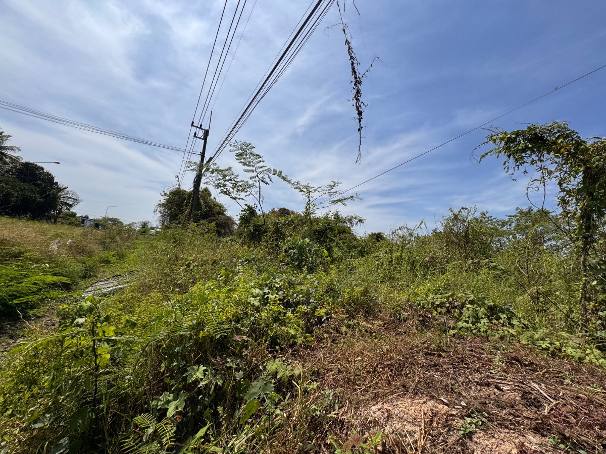 รูป 🔥 ขายที่ดิน 4 ไร่ – ทำเลทอง ใกล้เมืองบ้านนา นครนายก 🔥 - รูปที่ 5/7