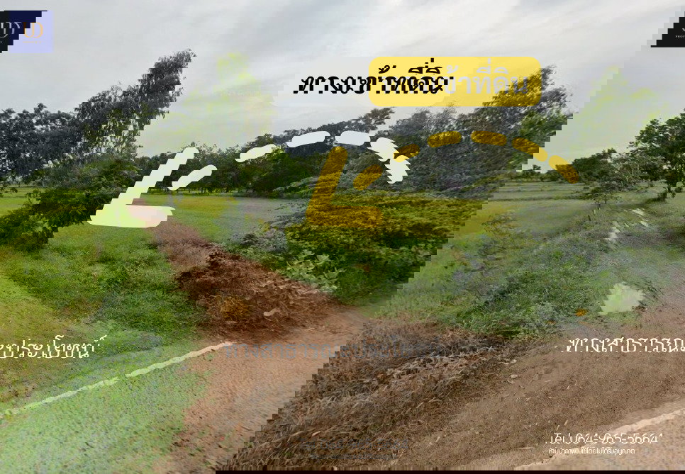 รูป 🌟 #ขายที่ดินถูกมาก อ.เมืองบุรีรัมย์ 🌟 6 ไร่ 2 งาน 77 ตร.ว. (ขายยกแปลง) 📍 ที่ตั้ง : ต.หนองตาด อ.เมืองบุรีรัมย์ จ.บุรีรัมย์ 31000 - รูปที่ 6/9