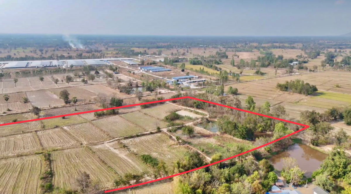 รูป ขายที่ดิน 36 ไร่ ราคาถูก หนองหลวง อำเภอสว่างอารมณ์ จังหวัดอุทัยธานี ไร่ละ 1.4 แสน - รูปที่ 5/10