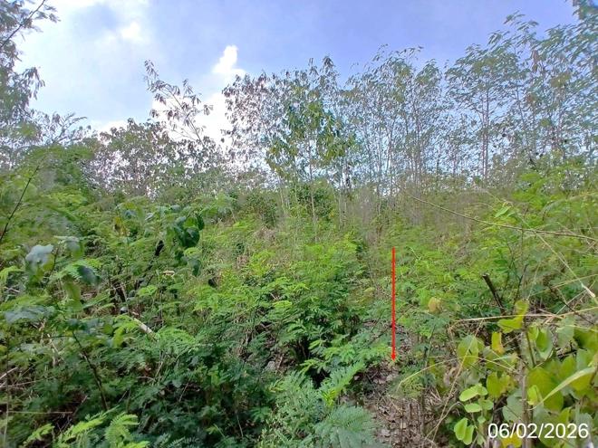 รูป ที่ดินว่างเปล่า สำหรับขาย วังแก้ว ปาร์คฮิลล์ รีสอร์ท วังม่วง วังม่วง สระบุรี - รูปที่ 3/12