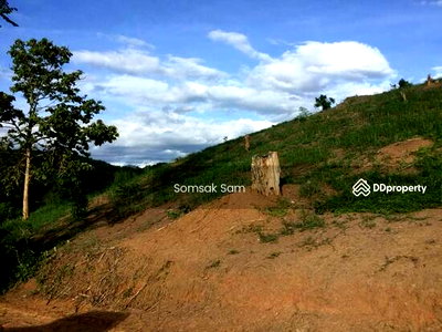 ขายที่ดิน : ขายที่ดินเปล่าต.เวียงเหนือ​ อ.ปาย จ.แม่ฮ่องสอน เนื้อที่  16 ไร่