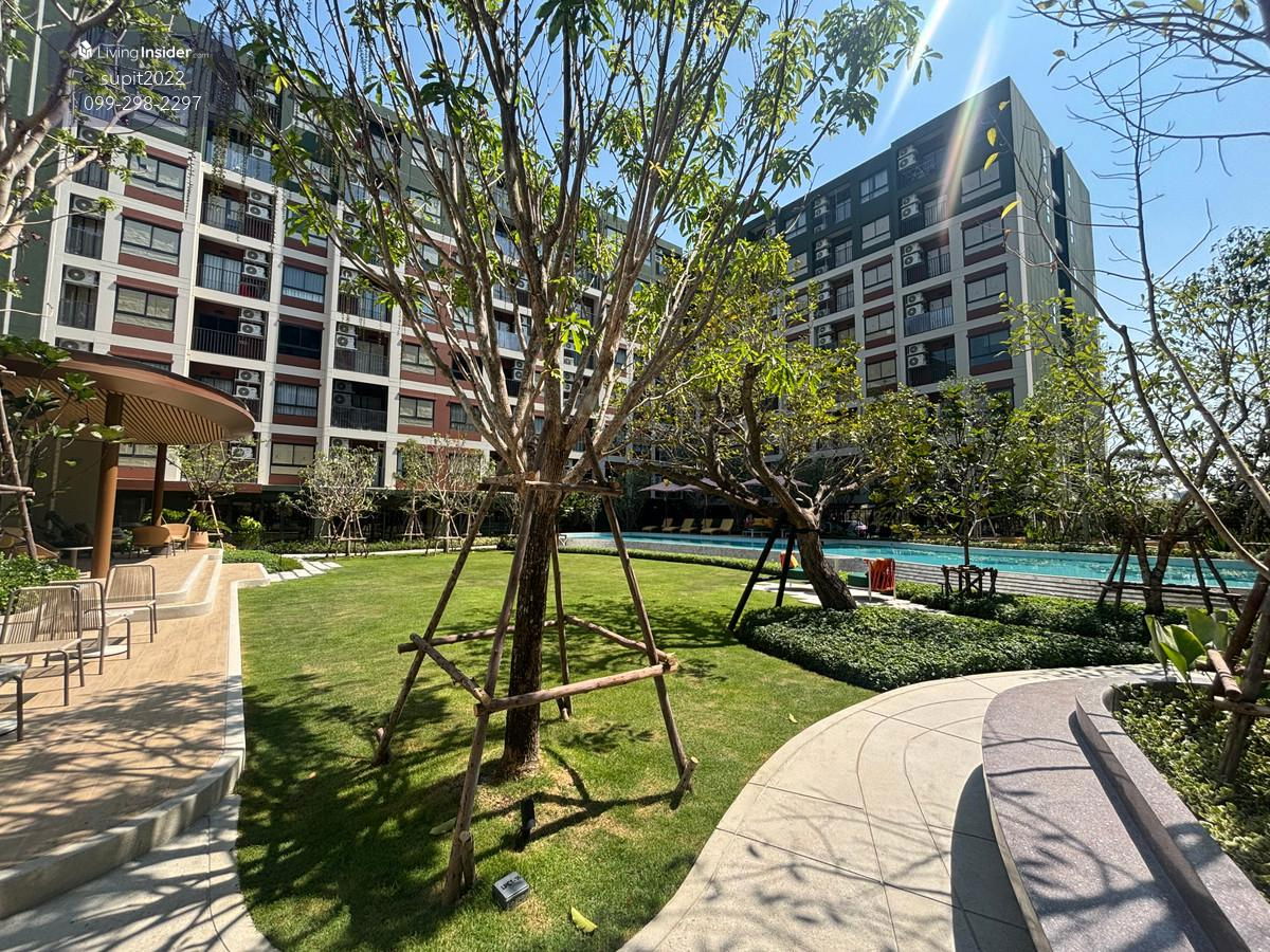 รูป ให้เช่า Dcondo Campus Khon Kaen ดีคอนโด แคมปัส ขอนแก่น ใกล้ มหาวิทยาลัยขอนแก่น มีมากกว่า 20 ห้อง - รูปที่ 13/16