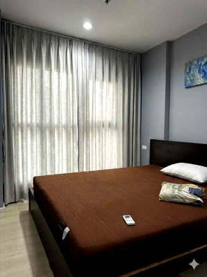 คอนโดให้เช่า : ให้เช่าคอนโด Aspire Sukhumvit 48 (แอสปาย สุขุมวิท 48) 🏢 รหัสทรัพย์ | MA-C7963