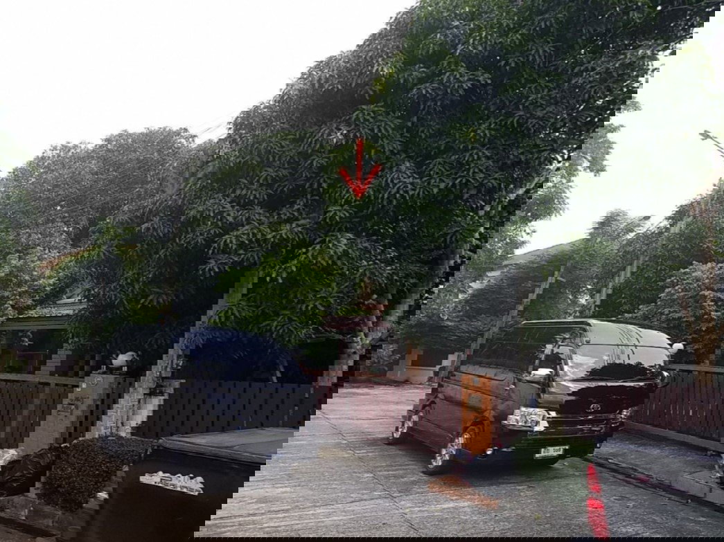 รูป ด่วน! หั่นราคาพิเศษ บ้านเดี่ยว มายเพลส วัชรพล สายไหม 78.2 ตร.ว. หลังใหญ่ พื้นที่กว้าง ร่มรื่น ต่อรองได้! - รูปที่ 5/7