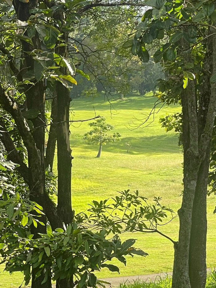 picture Urgent Sale: Luxury house in Chiang Mai Highlands Golf Course, Mae On. - 13/23