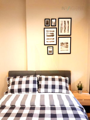 Condos for rent : 🔺 For Rent Condo WHIZDOM AVENUE RATCHADA - LADPRAO Building 1, Floor 11,1 bed room, Room size 31.00 sqm